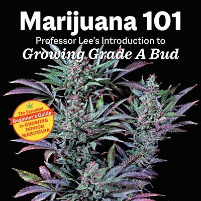 Marijuana 101 1