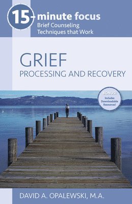 bokomslag 15-Minute Focus: Grief: Processing and Recovery