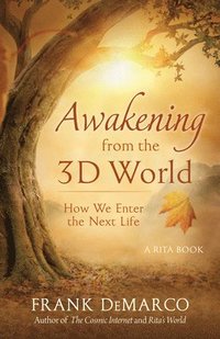 bokomslag Awakening from the 3D World