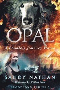 bokomslag Opal: A Poodle's Journey Home