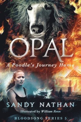 Opal: A Poodle's Journey Home 1