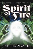 bokomslag Spirit of Fire