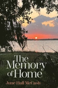 bokomslag The Memory of Home