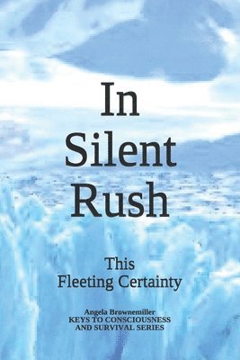 bokomslag In Silent Rush: This Fleeting Certainty