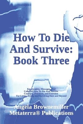 bokomslag How To Die And Survive