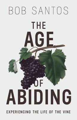 The Age of Abiding 1