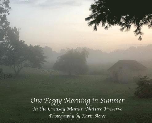 One Foggy Morning in Summer, Inbunden