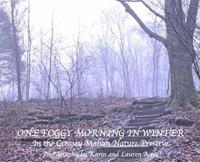 bokomslag One Foggy Morning in Winter