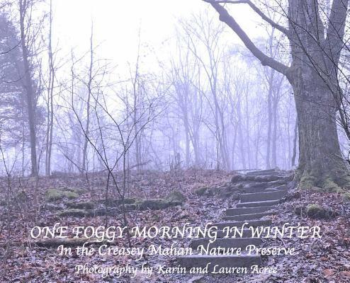 One Foggy Morning in Winter 1