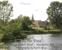 bokomslag By the Pond