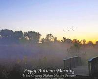 bokomslag Foggy Autumn Morning