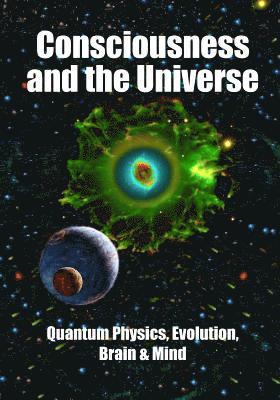Stuart Hameroff, Ellen Langer - Consciousness and the Universe: Quantum Physics, Evolution, Brain & Mind, Häftad