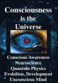 bokomslag Consciousness is the Universe: Conscious Awareness, Neuroscience, Quantum Physics Evolution, Development, Unconscious Mind