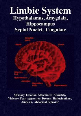 R. Gabriel Joseph - Limbic System: Amygdala, Hypothalamus, Septal Nuclei, Cingulate, Hippocampus: Emotion, Memory, Language, Development, Evolution, Love, Häftad