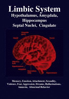 bokomslag Limbic System: Amygdala, Hypothalamus, Septal Nuclei, Cingulate, Hippocampus: Emotion, Memory, Language, Development, Evolution, Love