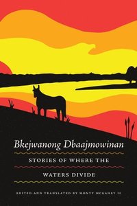 bokomslag Bkejwanong Dbaajmowinan/Stories of Where the Waters Divide