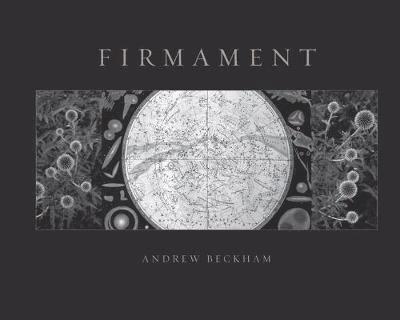 Firmament: Deluxe Edition 1