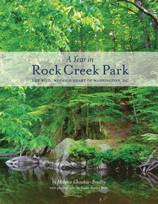 A Year in Rock Creek Park 1