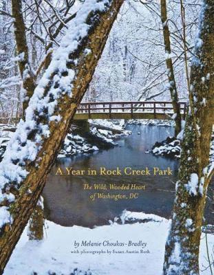 A Year in Rock Creek Park 1