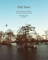 bokomslag Fish Town