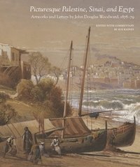 bokomslag Picturesque Palestine, Sinai and Egypt: Artworks and Letters of John Douglas Woodward, 1878-1879
