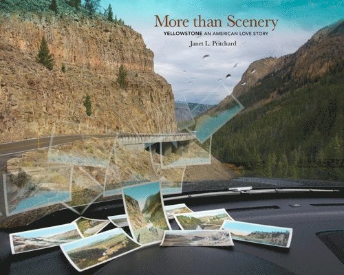 More Than Scenery 1