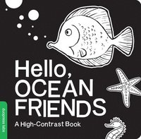 bokomslag Hello, Ocean Friends