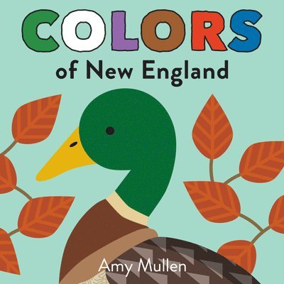 Colors of New England 1