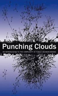 bokomslag Punching Clouds