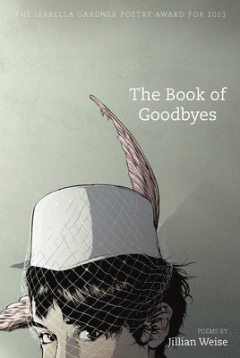 bokomslag Book of Goodbyes