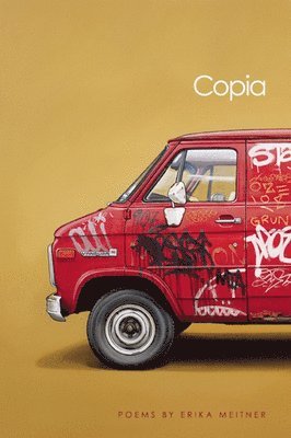 Copia 1