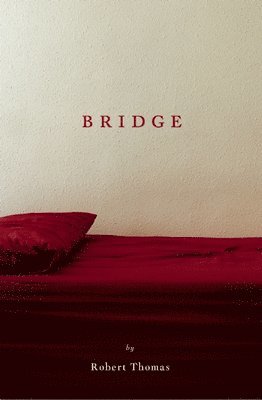 Bridge 1