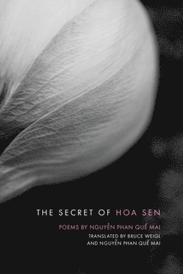 bokomslag Secret of Hoa Sen