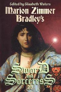 bokomslag Sword and Sorceress 28