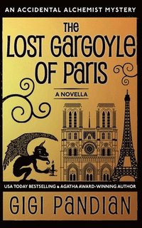bokomslag The Lost Gargoyle of Paris