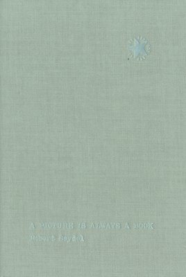 bokomslag Robert Seydel: A Picture Is Always a Book