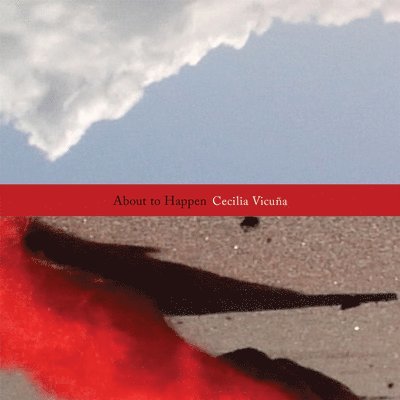 Cecilia Vicua: About to Happen 1