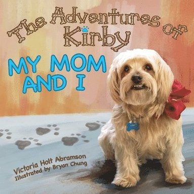 bokomslag Adventures of Kirby