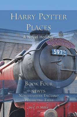 bokomslag Harry Potter Places Book Four - Newts