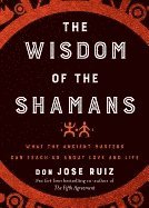 bokomslag Wisdom Of The Shamans