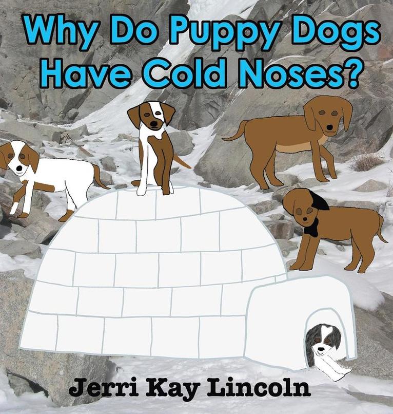 Why Do Puppy Dogs Have Cold Noses? 1