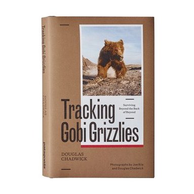 bokomslag Tracking Gobi Grizzlies