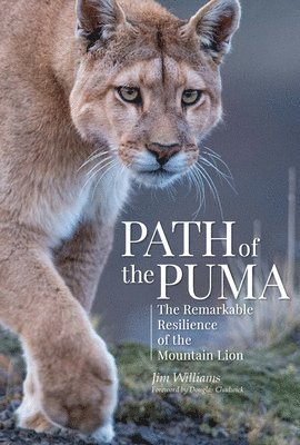 Jim Williams - Path of the Puma, Inbunden