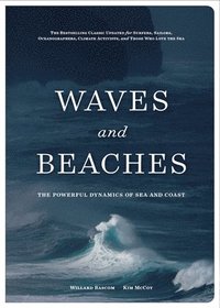 bokomslag Waves and Beaches