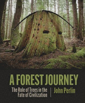 The Forest Journey 1