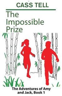bokomslag The Impossible Prize