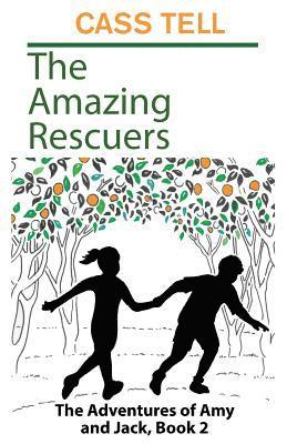 bokomslag Amazing Rescuers