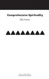 bokomslag Comprehensive Spirituality