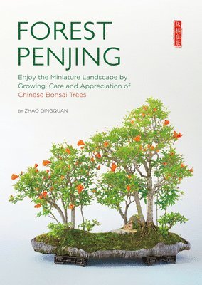 Forest Penjing 1
