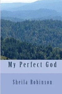 bokomslag My Perfect God